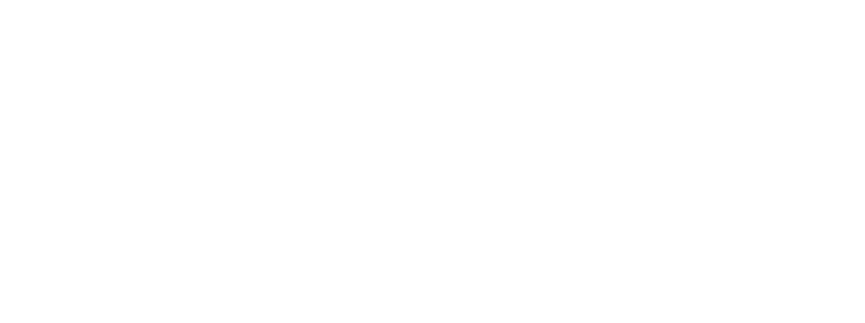 white_logo_transparent_background
